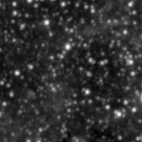 Survey preview for NGC 4184
