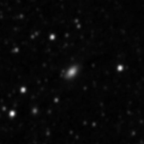 Survey preview for NGC 4202