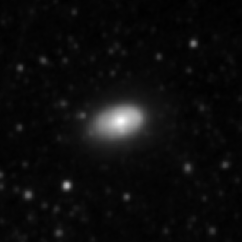 Survey preview for NGC 4237