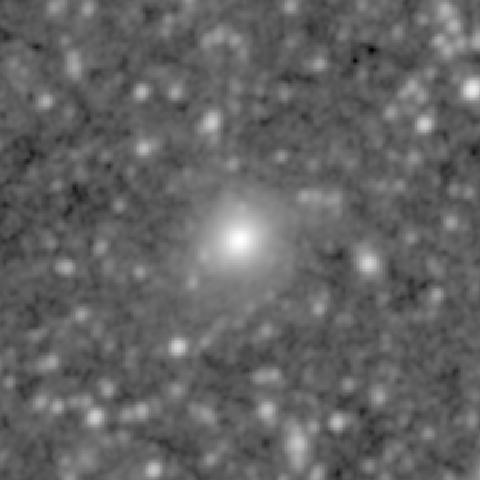 Survey preview for NGC 631