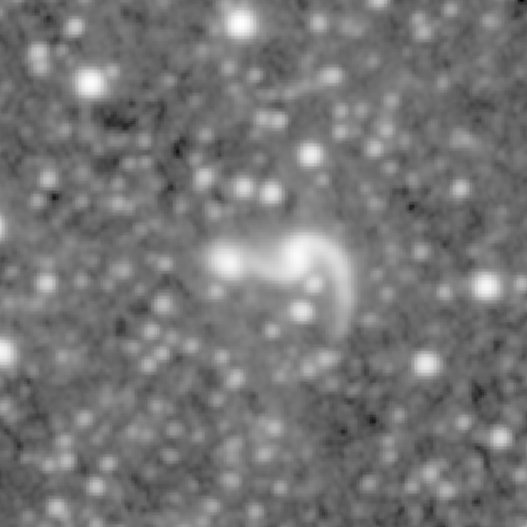 Survey preview for NGC 646