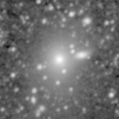 Survey preview for NGC 677