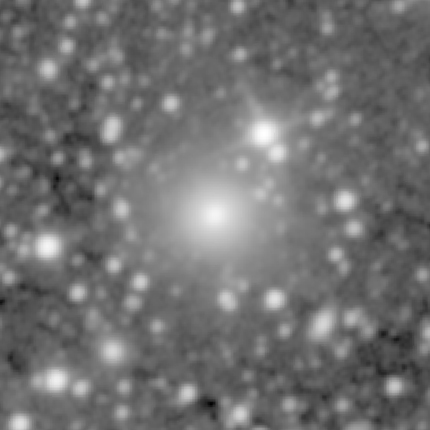Survey preview for NGC 687