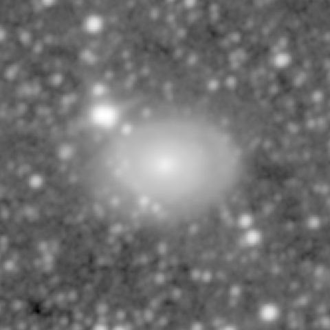 Survey preview for NGC 691