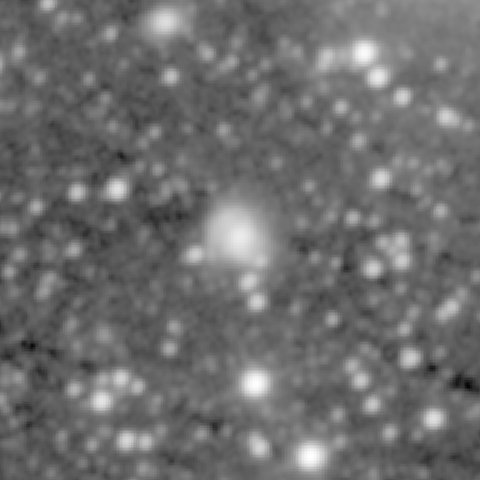 Survey preview for NGC 710