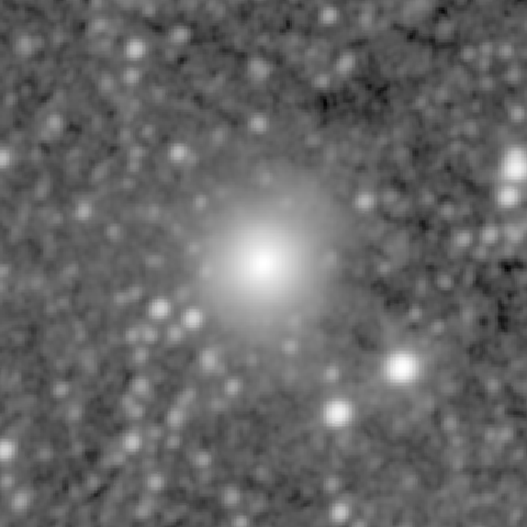 Survey preview for NGC 731
