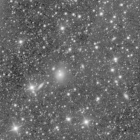 Survey preview for NGC 733