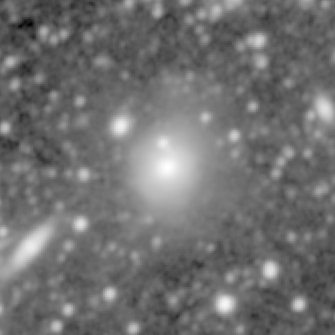 Survey preview for NGC 736