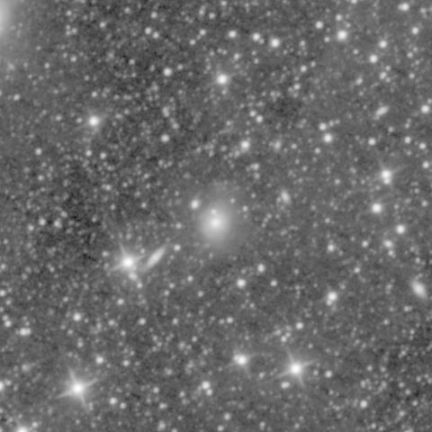 Survey preview for NGC 737