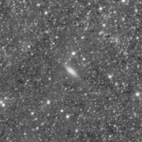 Survey preview for NGC 763