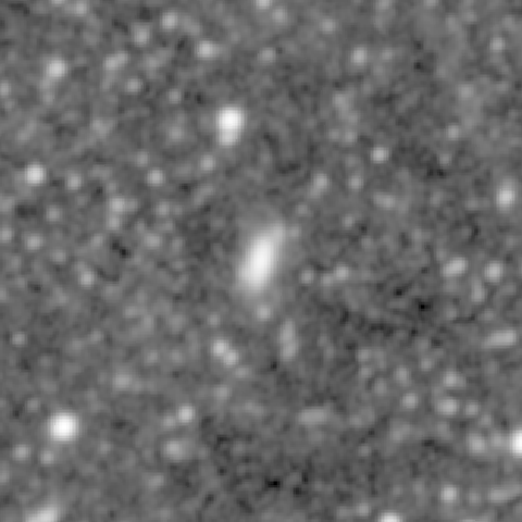 Survey preview for NGC 767
