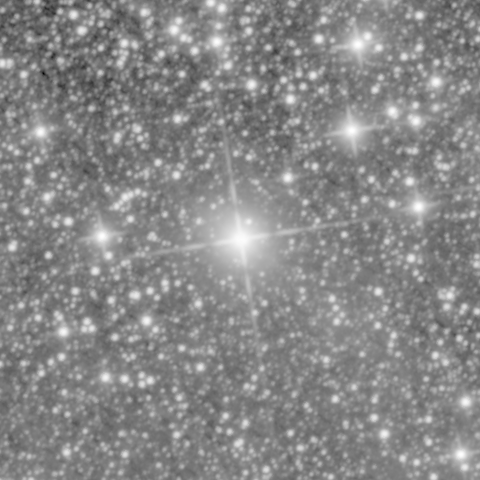 Survey preview for NGC 771
