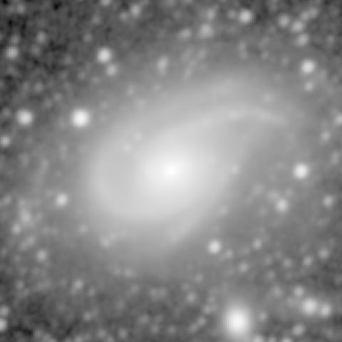 Survey preview for NGC 772