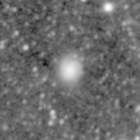 Survey preview for NGC 775