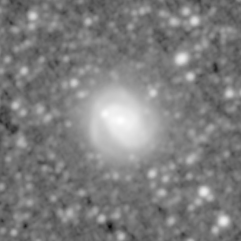 Survey preview for NGC 782