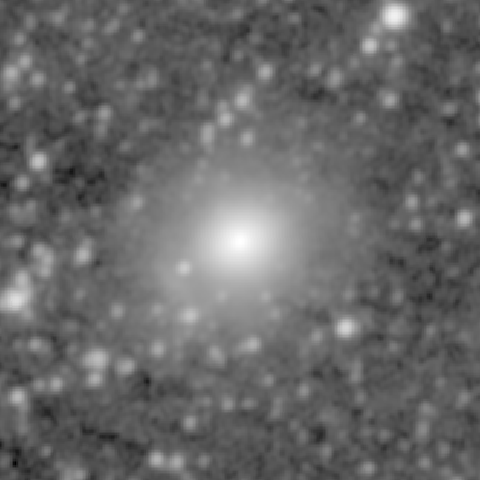 Survey preview for NGC 788