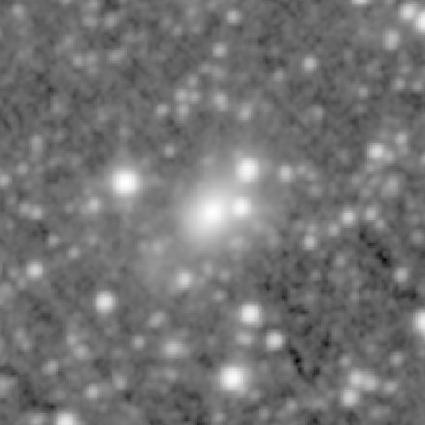 Survey preview for NGC 795
