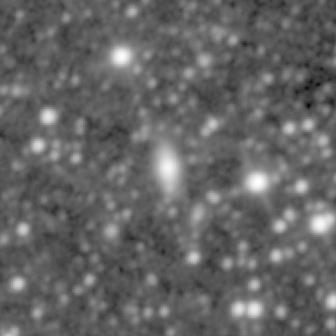Survey preview for NGC 804