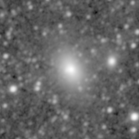 Survey preview for NGC 810