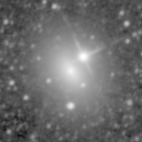 Survey preview for NGC 821