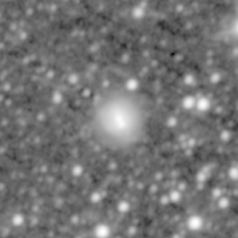 Survey preview for NGC 824