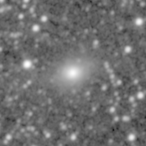 Survey preview for NGC 836