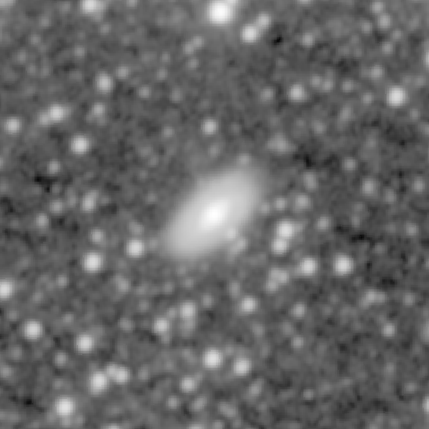 Survey preview for NGC 841