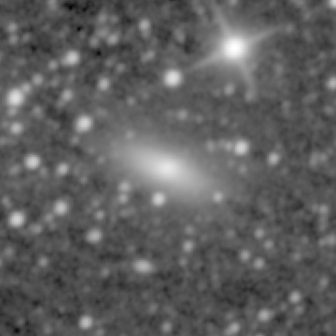 Survey preview for NGC 855