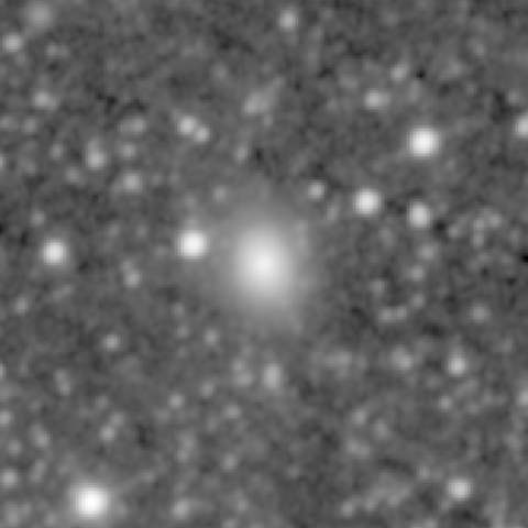 Survey preview for NGC 856