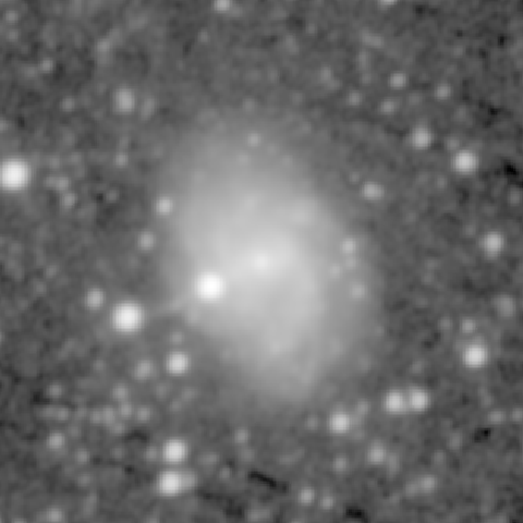 Survey preview for NGC 864